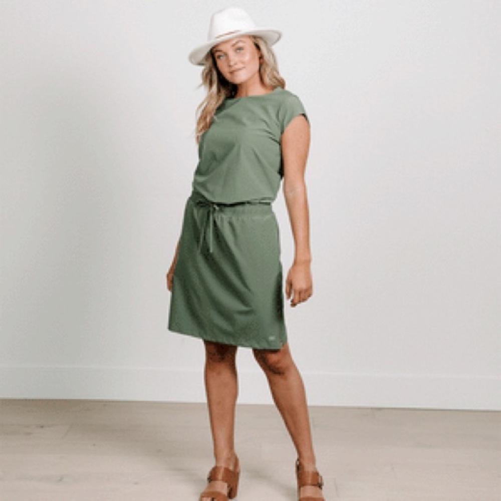 Albion fit Going Places dress